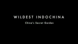 3.Неизведанный Индокитай.Китай.