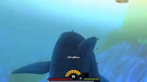 Я ТИГРОВАЯ АКУЛА ГИГАНТ ( Feed and Grow: Fish )