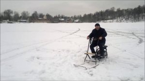 4 Мотосани Муравей