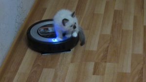 ЧЕРТОВО КОЛЕСО.avi