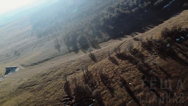 СВЁКОР НЕ ТОЛЬКО ХОРОШО ТАНЦУЕТ! Интересные истории из жизни. Рассказы о любви. Теща Сладкая смотреть онлайн