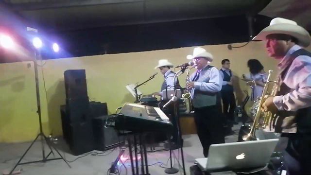 EL SAUCE Y LA PALMA, LA SRA AL 100% BONITA FIESTA DE ALI MILENA COAH. MÉXICO LOS TALAVERA BROTHER смотреть онлайн