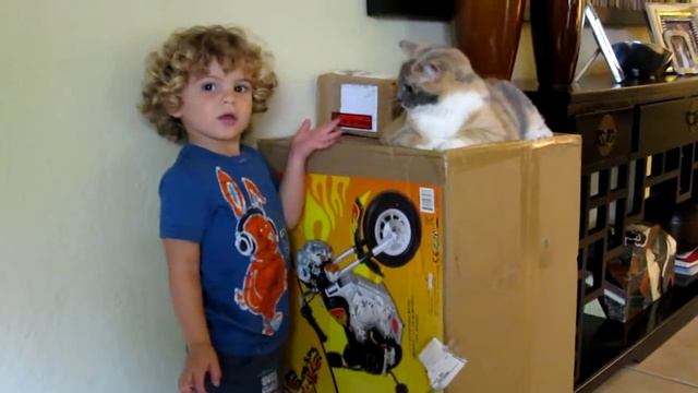 Tio's gift arrives! смотреть онлайн