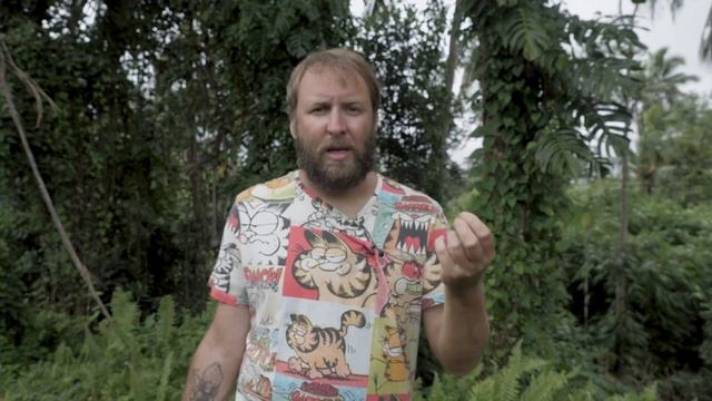 Как и какую механическую плёночную камеру выбрать новичку 2023 смотреть онлайн