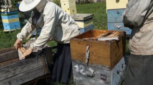 Мёдосбор 2020: Без любви и пчела не живет в монастыре - Игумен Варлаам (Максаков)
