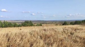 за грибами .mp4