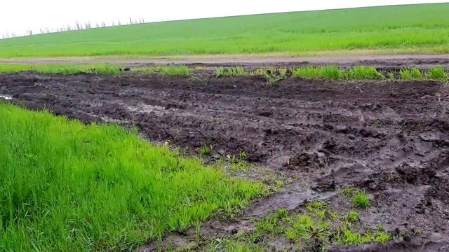 Рыбалка, река Кочеты, Красносельское. Обзор мест.