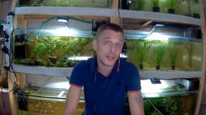 КАК ОТКРЫТЬ ЗООМАГАЗИН?! МОЯ ИСТОРИЯ!