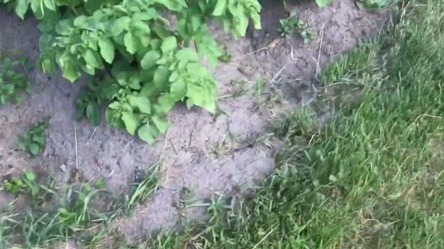 Водопровод на огород .Комфортно , дешево, надежно. смотреть онлайн