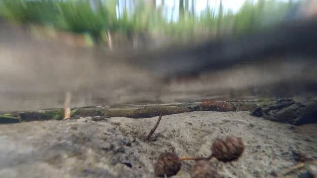 Текущя вода. Звуки природи