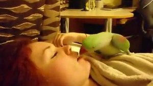 Попугай целует  хозяйку