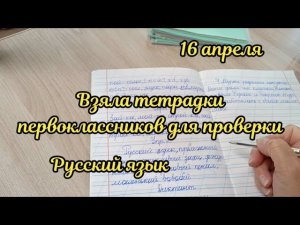 Взяла на проверку тетради по русскому языку