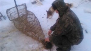 Рыбалка(заездок,запор)старый дедовский способ))))