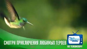 Банга хочет знать   Серия 01   Кто быстрее      обучающие мультик