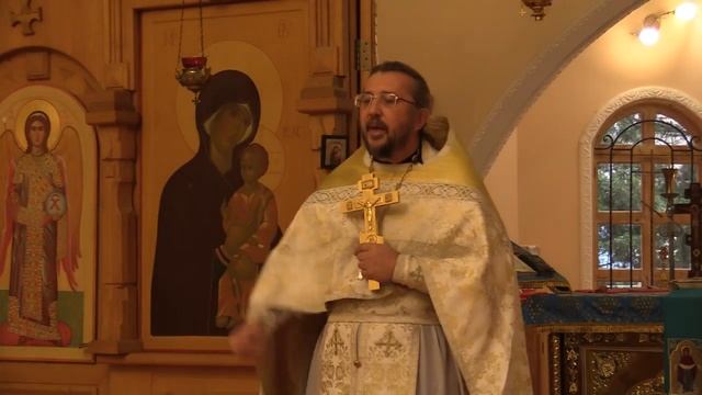 Надо больше благодарить Господа, чем просить. Священник Игорь Сильченков смотреть онлайн