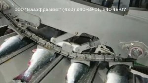 Проект, строительство и запуск в работу рубоперерабатывающего завода проекта "Владфризинг"