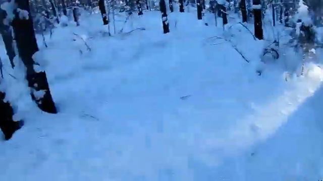 охота на зайца с русской гончей.морозный день смотреть онлайн