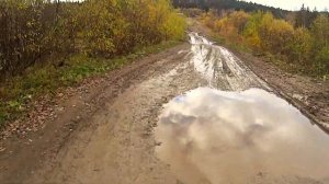 дороги Вижая....от Ныроба на север-100 км.