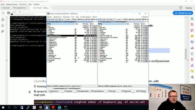 Cisco курсы по кибербезопасности: применение стеганографии для защиты данных