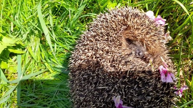 Находка. смотреть онлайн