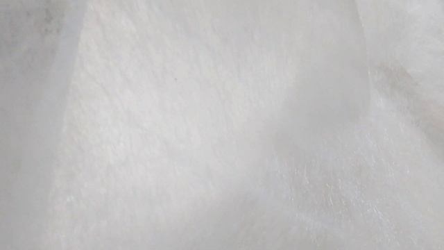 Агроволокно 17г/м2 "AGROS" от компании "AGROEXPERT" смотреть онлайн