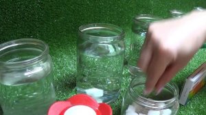 Прежде Чем Поставить ЦВЕТЫ в Вазу Посмотрите это ВИДЕО