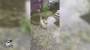 Дренаж участка, какой он? И нужен ли вообще?