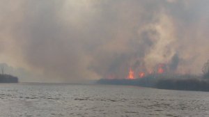 Пожар у реки Воронеж