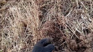 Коп по старине. Потерял дар речи от находки.