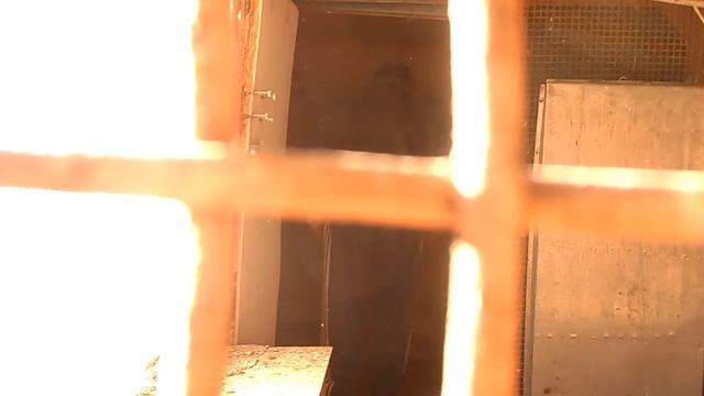 голуби Ломов С В 6 11 2017 смотреть онлайн