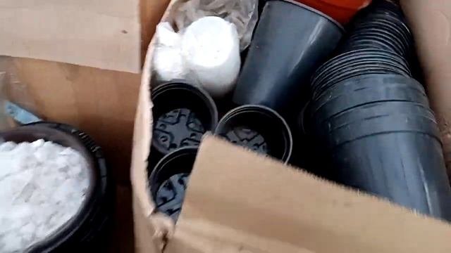 Горшки технологические. Получила очередную посылку!