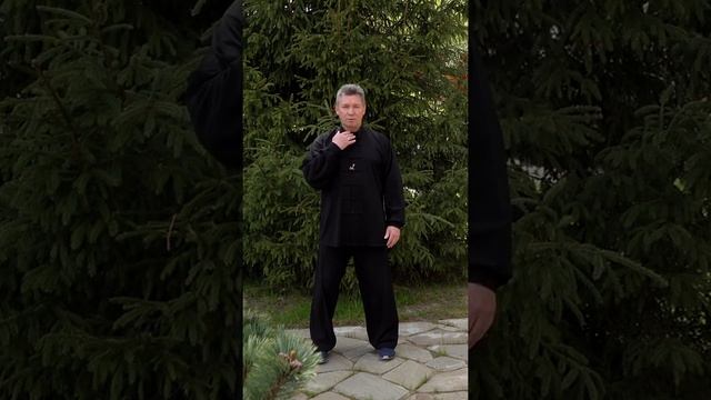 Цигун не дает результата, если вы не выполняете эту практику #shorts смотреть онлайн