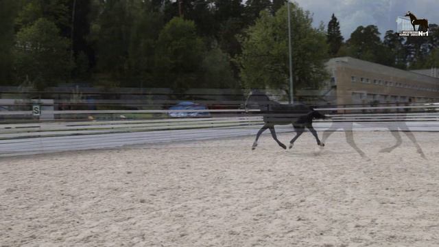 Каспийск смотреть онлайн