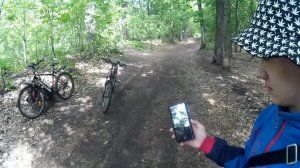 Тольяттинский лес май 2023 год