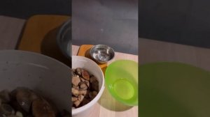 СОЛЁНЫЕ (КВАШЕНЫЕ) ПОДОСИНОВИКИ И БОРОВИКИ