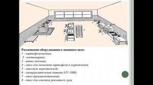 Организация работы овощного цеха