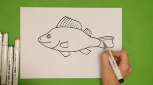 Как нарисовать окуня маркерами. Рисование шаг за шагом для начинающих