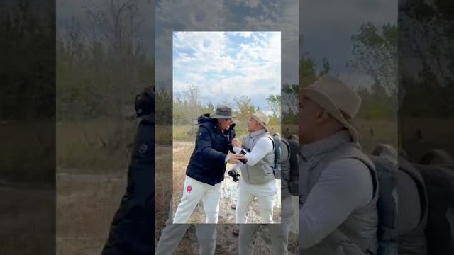 атака медведя