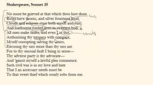 Shakespeare, SONNET 35 | Close Reading , Summary & Analysis