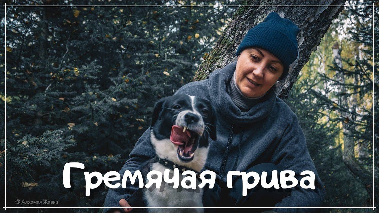 Эко-парк "Гремячая грива". Красноярск