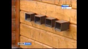 Оплодотворение умных пчёл
