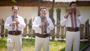 Lautarii lui Botgros - Hora Moldovenilor