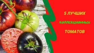 5 сортов коллекционных томатов с отличным вкусом и необычной окраской, которые не найдешь ни в одном