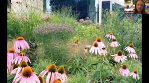 Goizueta Gardens: Atlanta’s Landscape