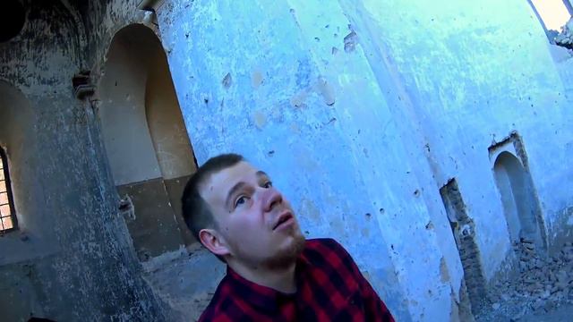 YesNoShow - Тбилиси. Собери 6 собак - получи приз. смотреть онлайн