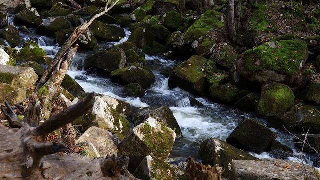 Приморский край - Вблизи водопада Неожиданный [Звуки природы, для сна, расслабления] смотреть онлайн