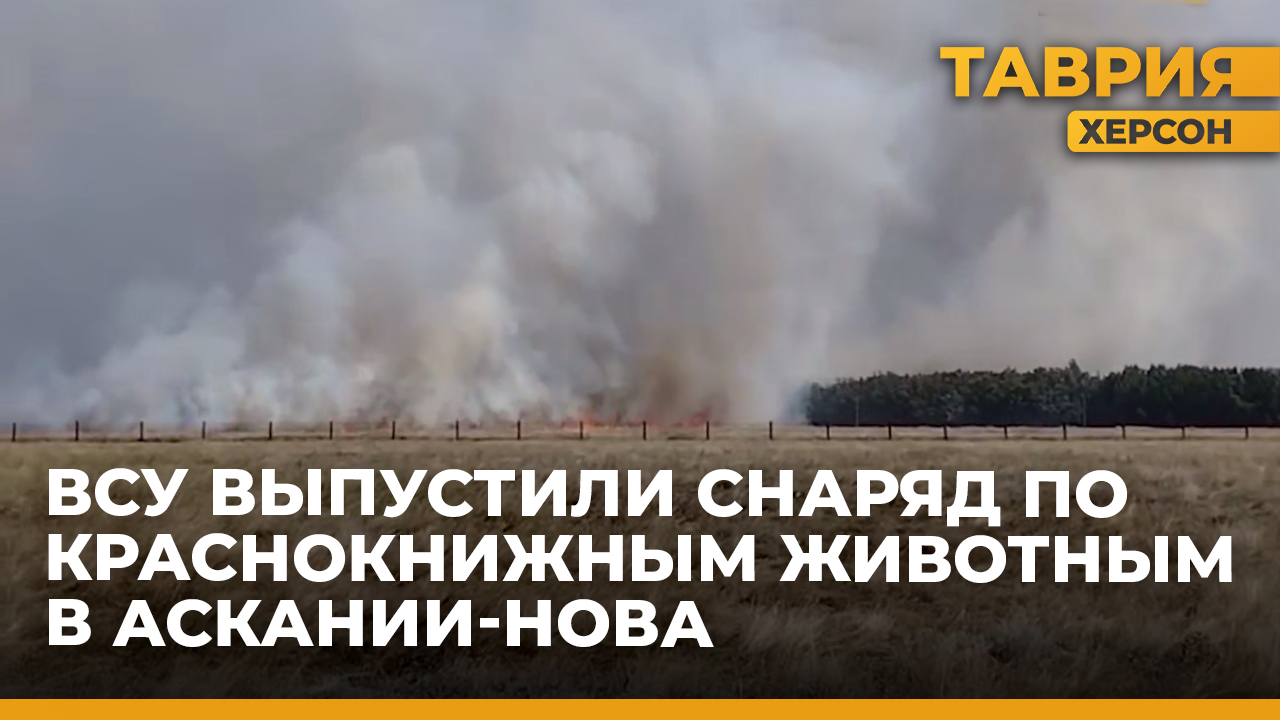 Снаряд ВСУ приземлился на территории биосферного заповедника "Аскания-Нова"