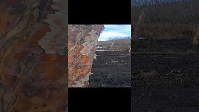 Снег в теплице весной