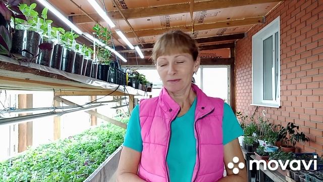 Знакомство. Моё занятие-выращивание растений.