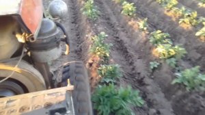 Дисковые окучники на минитракторе это просто сказка